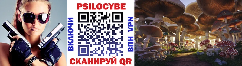 Псилоцибиновые грибы Psilocybe  Мосальск 