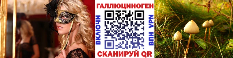 Псилоцибиновые грибы Psilocybe Мосальск